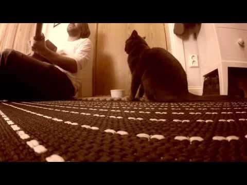 Stiko per larsson roar (idold att tolka en tolkning)