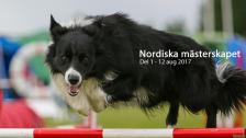 Nordiska Mästerskapet 2017
