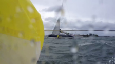 Net1 forsar förbi