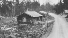 Litteratur och berättande