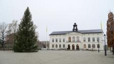 julgran20260929
