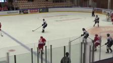 Troja-Ljungby - Borlänge - 08 Jan Highlights