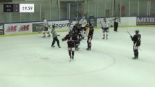 Highlights HC Dalen - Kallinge/Ronneby 5-2