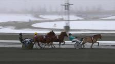 Bjerke travbane 16. desember 2023