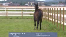 # 126 - Imperatrix W.H.