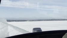 Svävare