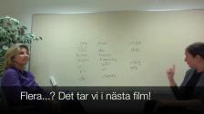 Possessiva pronomen del 1 (singular)