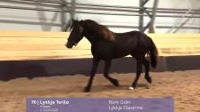 # 76 Lykkje Torila