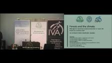 Thumb vtgzghvo 011
